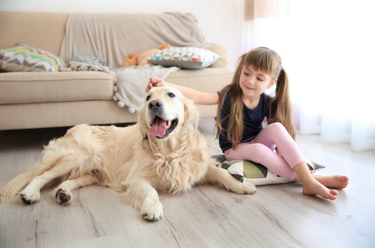 Luxury vinyl in Connecticut from All Hardwood Floors